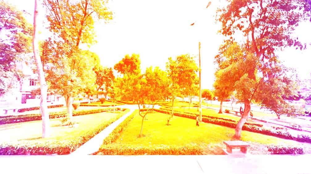 Servicio de Mudanzas