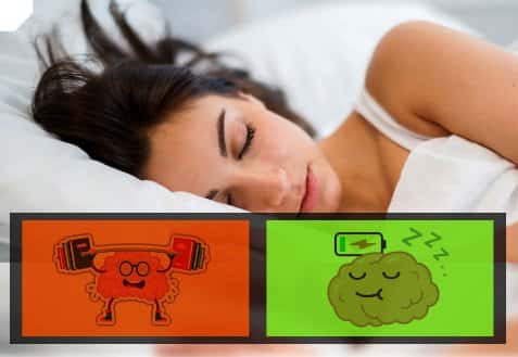 El sueño es un poderoso protector natural del cerebro