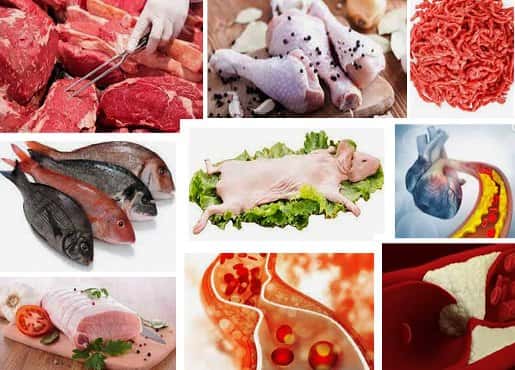 En busca del alimento real