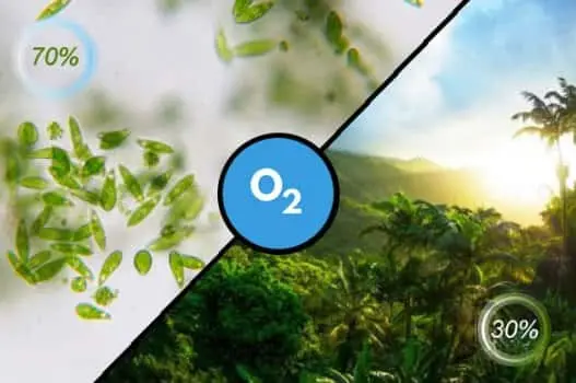El mas grande proveedor de oxigeno
