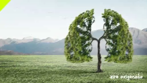 Mudarnos por falta de oxigeno